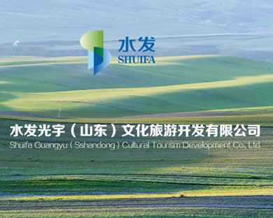 水发光宇（山东）文化
